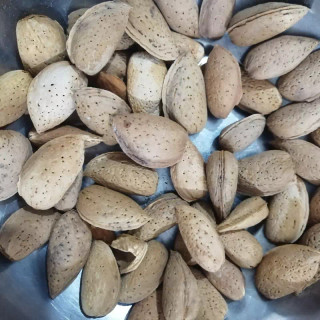بادام سنگی دو پوسته شیرین و پر مغز